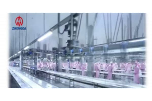Многоуровневое хранилище — Животноводство | Leo Group Узбекистан