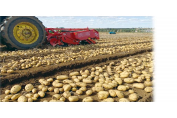 4U-170B Картофелеуборочная