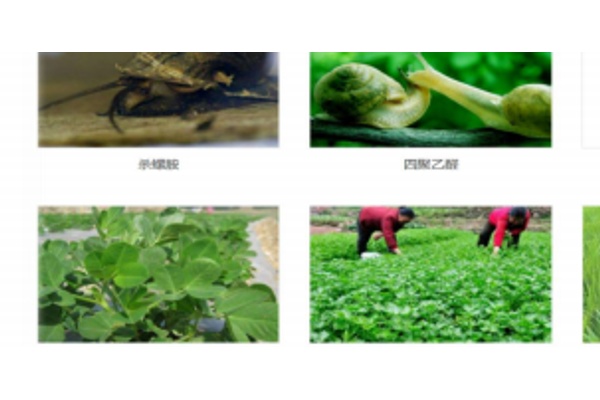 Агрохимикаты