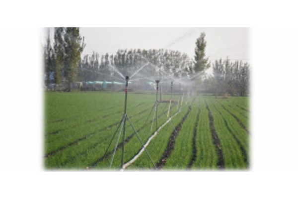 Стационарное дождевание