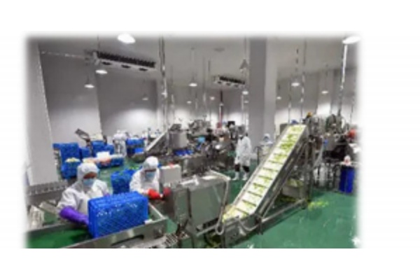 Линия переработки фруктов