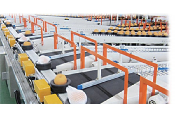 Система сортировки фруктов